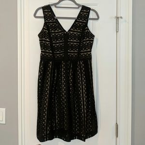 LOFT V-Neck lace Dress